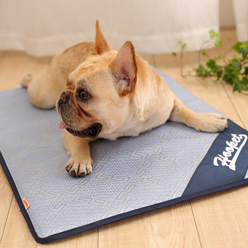ICE PAD DOG MAT 

Price: $20.95

Shop now: bit.ly/2YFgXYS
Email now: jos@thepawhaven.com

#thepawhaven #petsafematerials #dogbed #petbed #ICEPADDOGMAT  #dogaccesories #dogsleepbed #Singapore