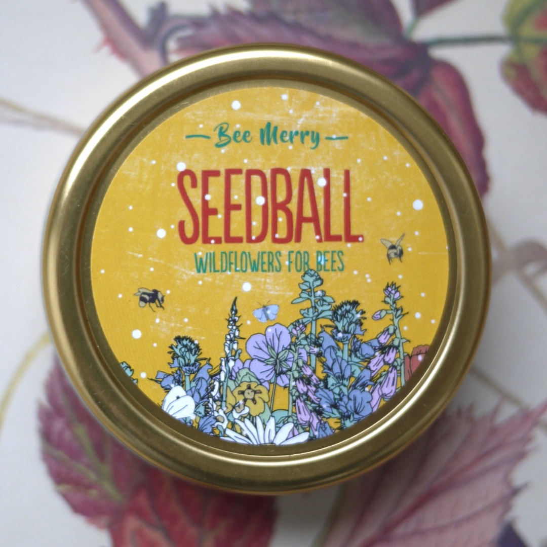 seed_ball's tweet photo. Gift For The Bees! π
A mix of native flowers that bees will just love! These wildflowers will help feed solitary bees, honey bees and bumblebees.
π Check out the our online shop for lots more Christmas gift idea and stocking fillers
#givebeesachance #BeeMerry https://t.co/REuB56H3Ln