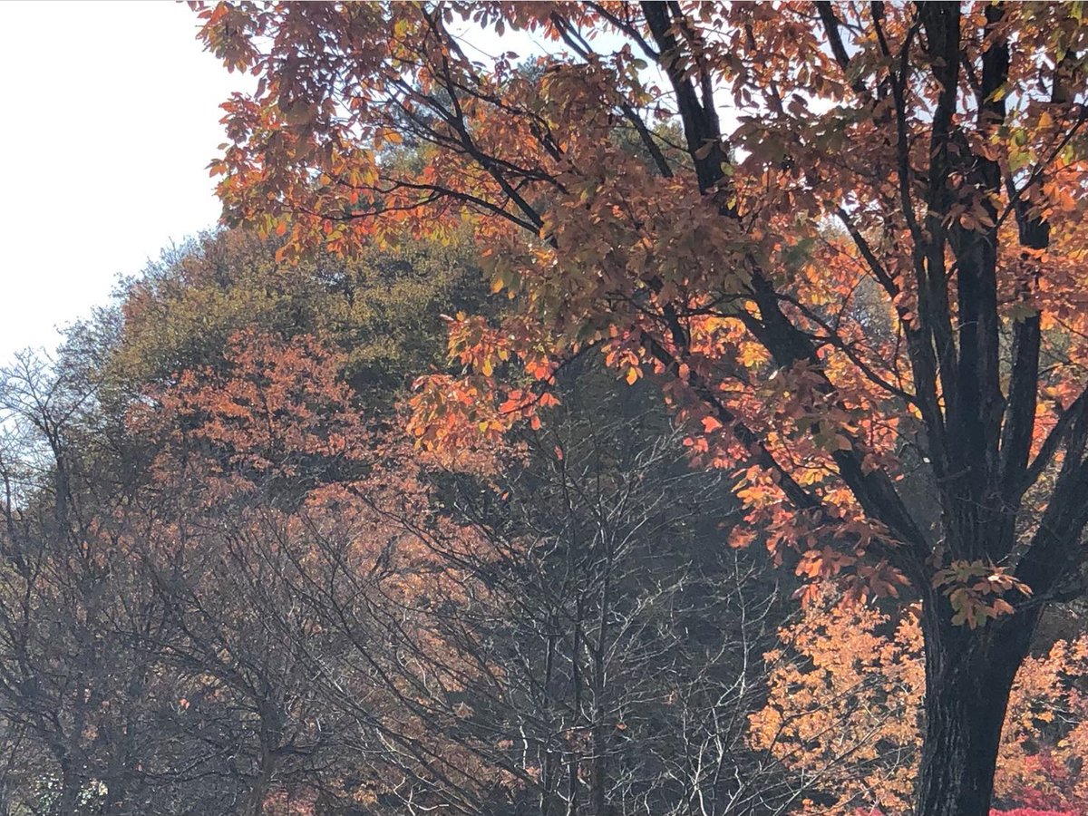 今年の活動は終了しましたが、日本大学工学部 サイクリング部は部員をめっちゃ募集しております😌
色々美味しいもの食べに行ったりしてます
お待ちしております😌