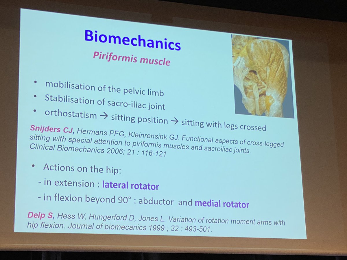 APP_IASP's tweet photo. First up this morning is a lecture on Piriformis Syndrome with questions of if there is a true syndrome or not.
#WCAPP https://t.co/NLjTrpfFNt