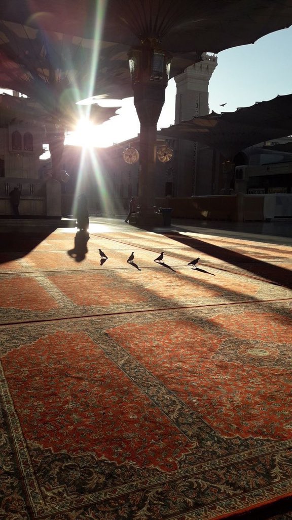 Arab Dunya | عرب دنیا tweet media