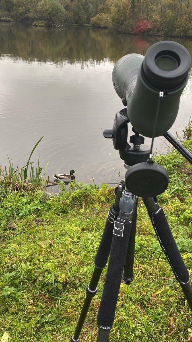 SpotVogels's tweet photo. Watervogeltelling Eijsderbeemden voor @Sovon https://t.co/ZX8pvikDmI