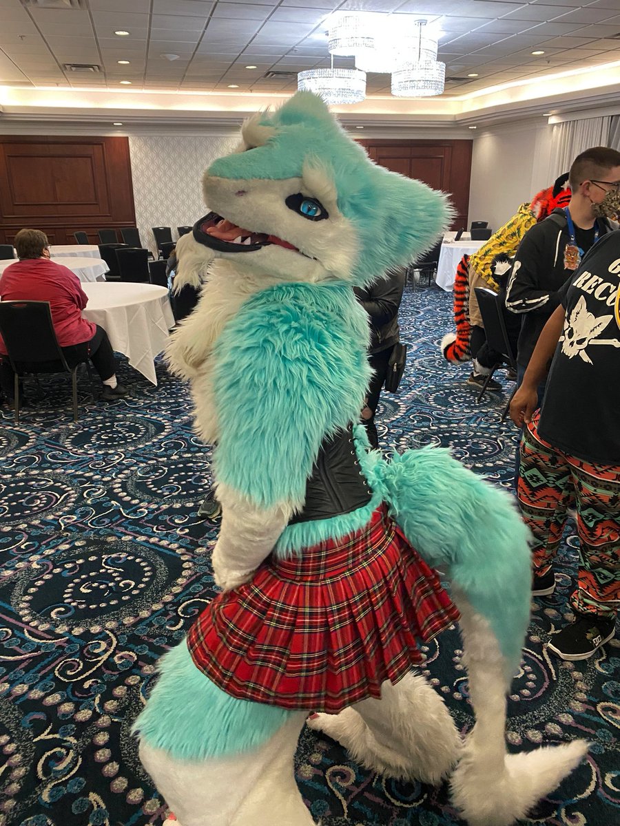 <a href="/HowloweenCanada/">Howloween 2025</a> #howloween