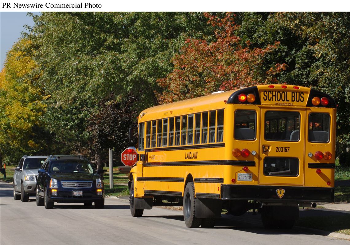 Professional Napper 🐼🐾 (@rbythra) / Twitter