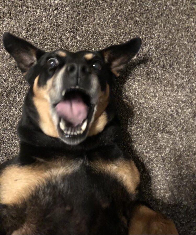 Stormcloud tweet media