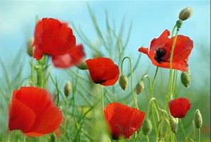 he most beautiful thing about learning is that no one take that away form you.