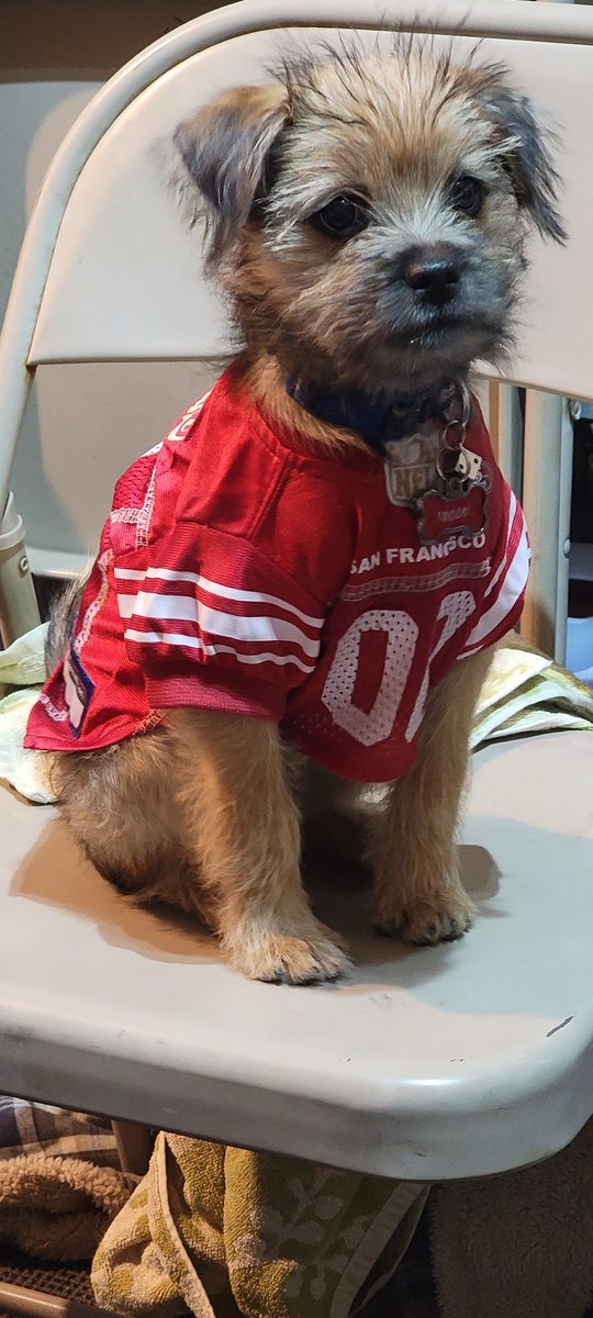 Redngoldqueen49's tweet photo. My lil Niner fan!!!🥰❤💛 https://t.co/0ds2a0YHNW