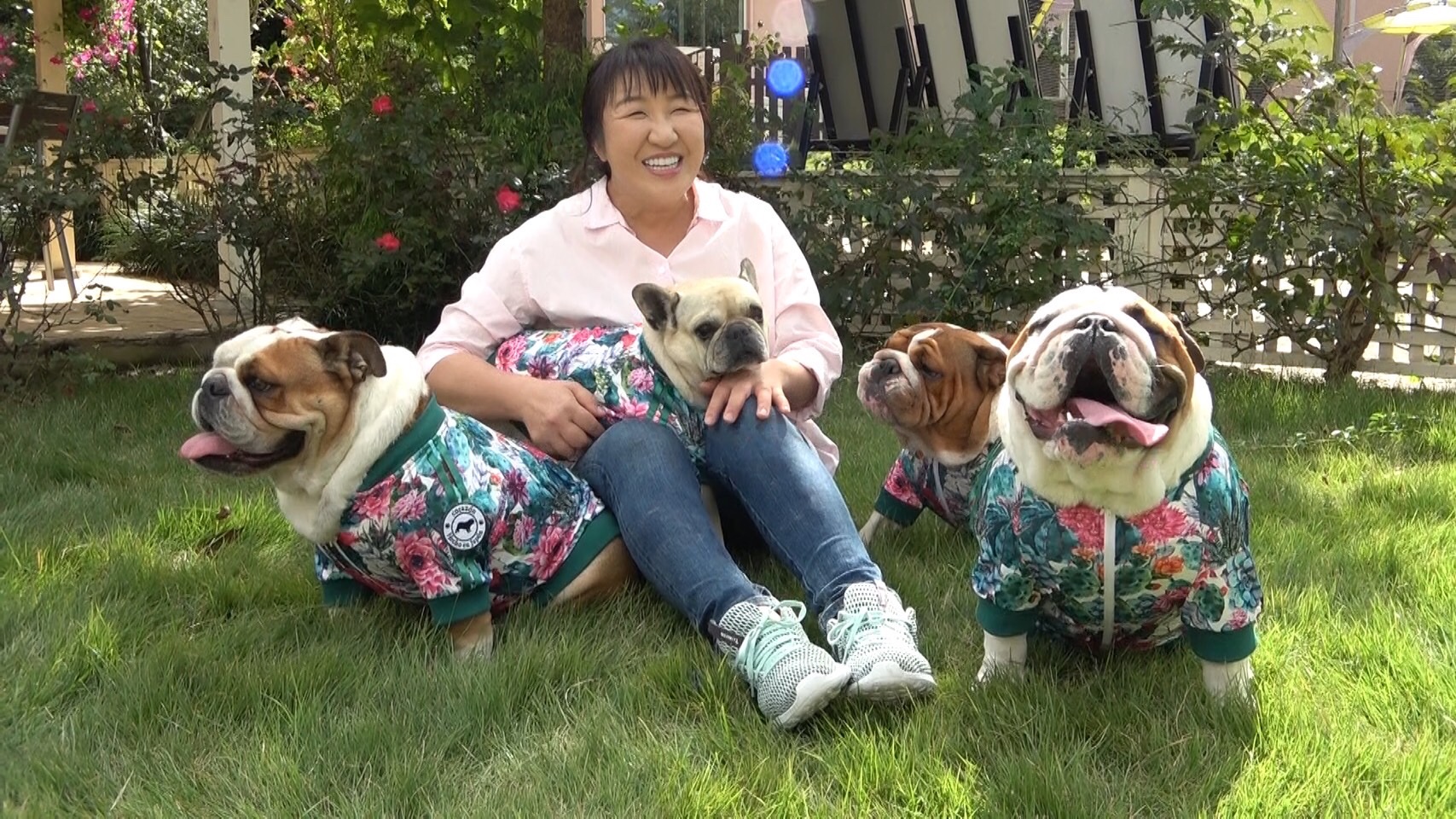 嗚呼 みんなの動物園 エントリーno 3 北斗晶 フレブルとブルドッグ4匹と暮らす北斗さん 家の裏には万円以上かけて作ったシャンプー用バスが スタジオには健介さんがワンちゃん達を連れてきてくれました笑 北斗晶 佐々木健介 相葉雅紀