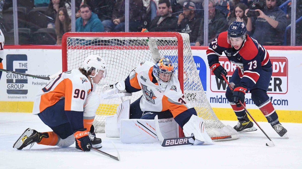 #weareflint #flintfirebirds #hockeynight #tendy