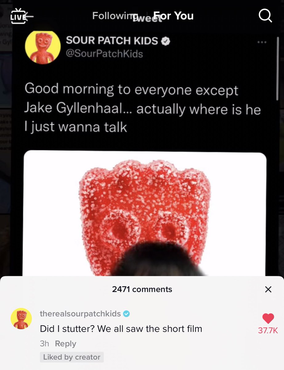 jake gyllenhaal is literally the worst person to be rn😭