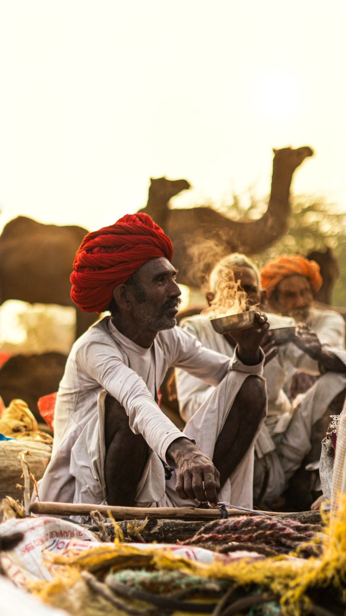 shikharsaini2's tweet photo. Beautiful morning light at pushkar Camel fair.  #pushkar #camelfair #IncredibleIndia #TimesofIndia #sonyalpha https://t.co/niLZWaK5xe