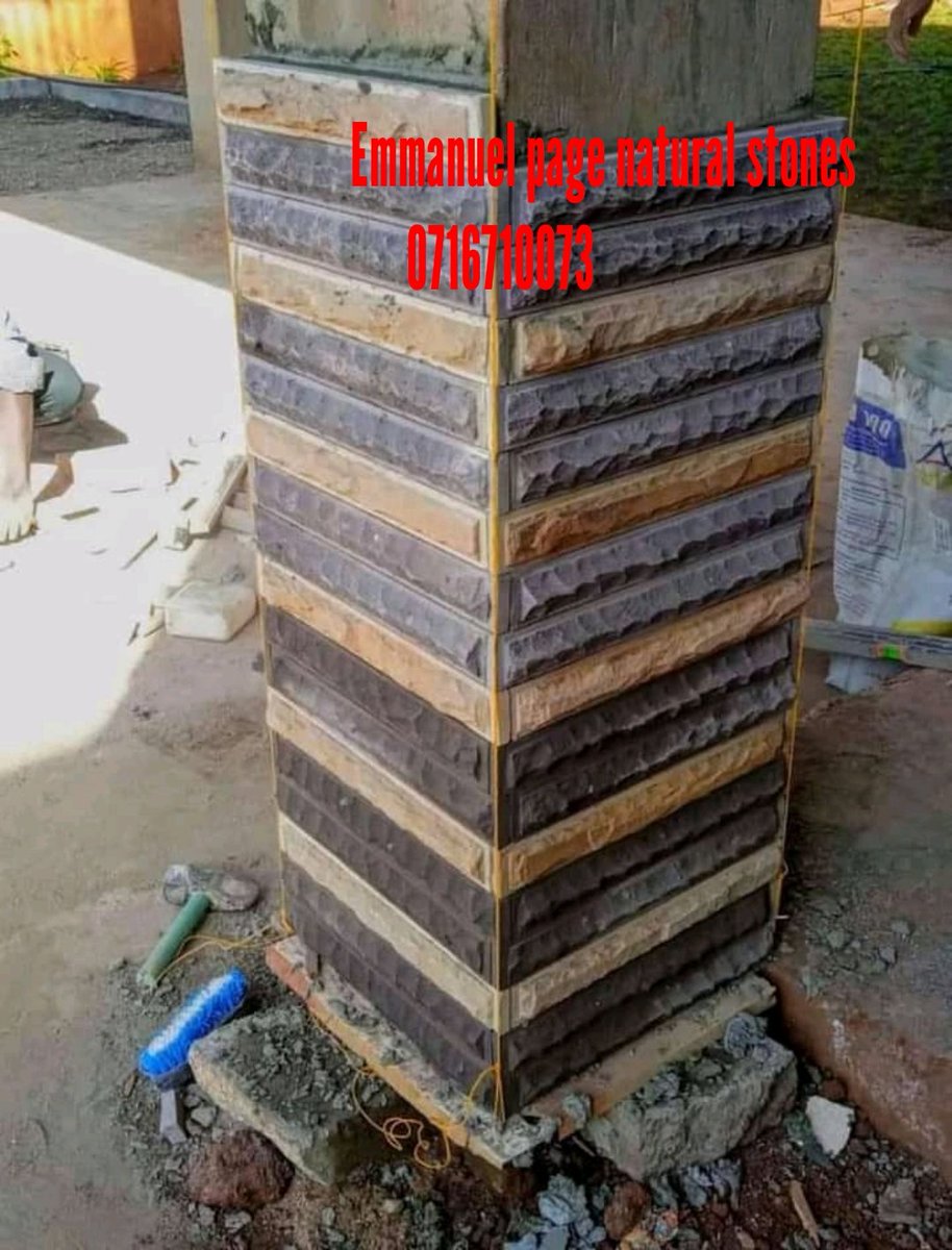 thevenusbuilder tweet picture