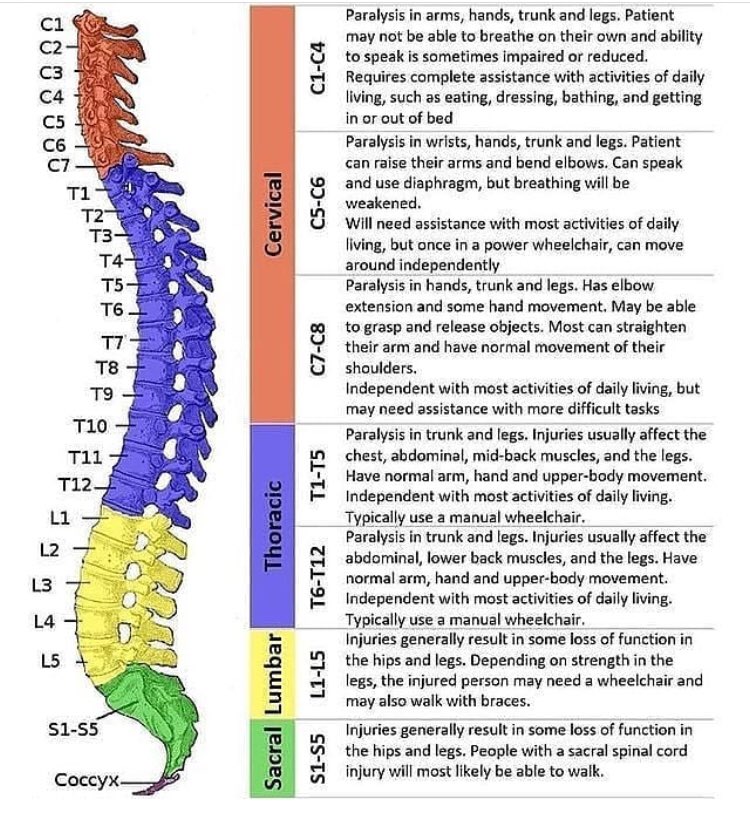 متاب 👩⚕️PT tweet media
