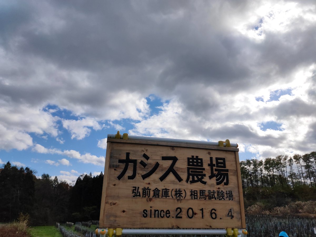 hiroso_Cassis's tweet photo. 今日の #カシス 農場の風景
冬への備えが進んで
雪囲いがまもなく完了します
外での作業が落ち着いたら
農機具の点検とメンテナンス
来年も活躍してもらえるように
道具は大事に使います。
#Ribesnigrum #GoodCassis #BlackCurrant #弘前市 https://t.co/8rlbxnJ9tn