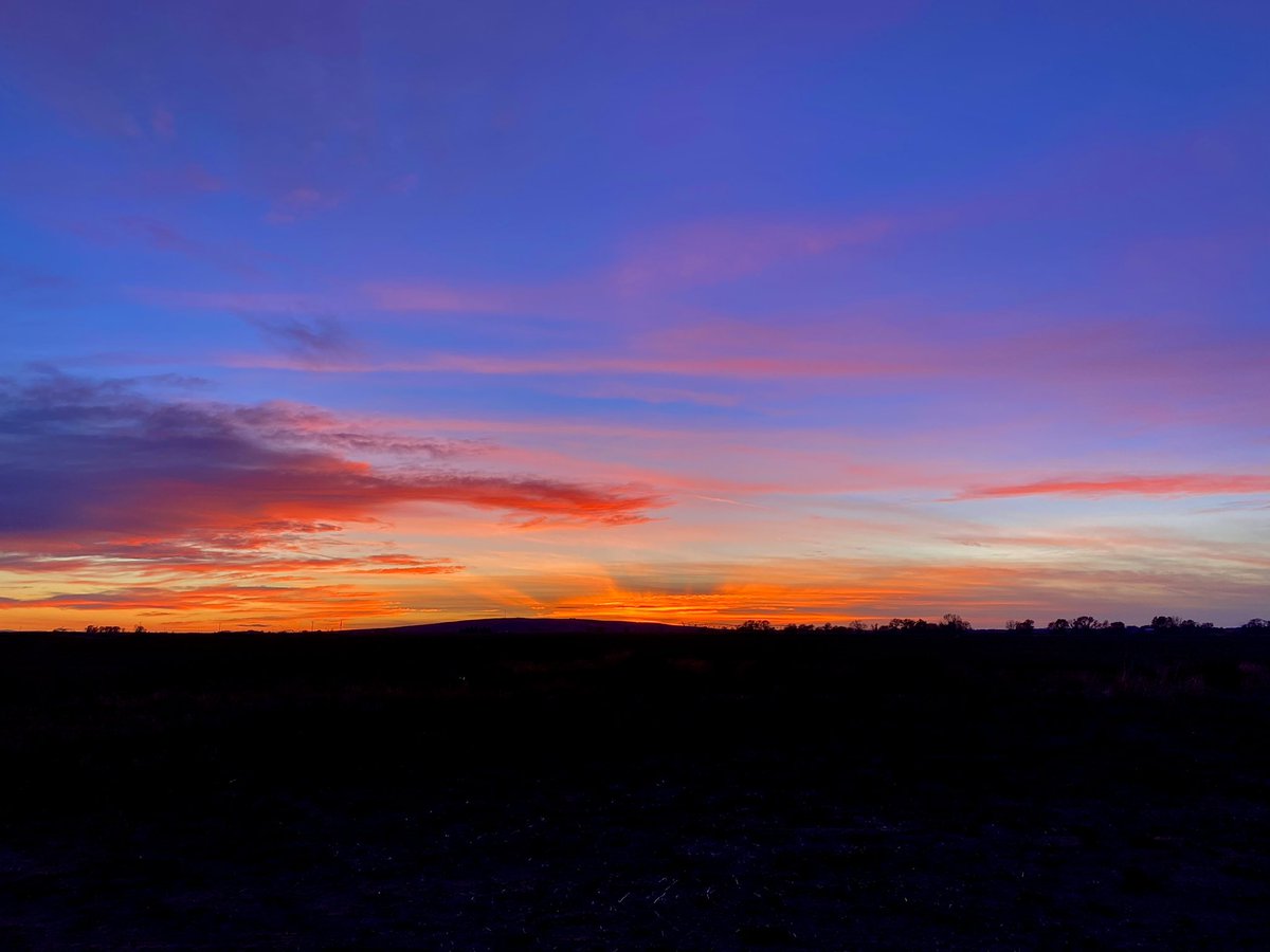 leineliljonnn's tweet photo. @kiranicoleeeee View out my back door tonight🥰 https://t.co/02XYqJU4kX