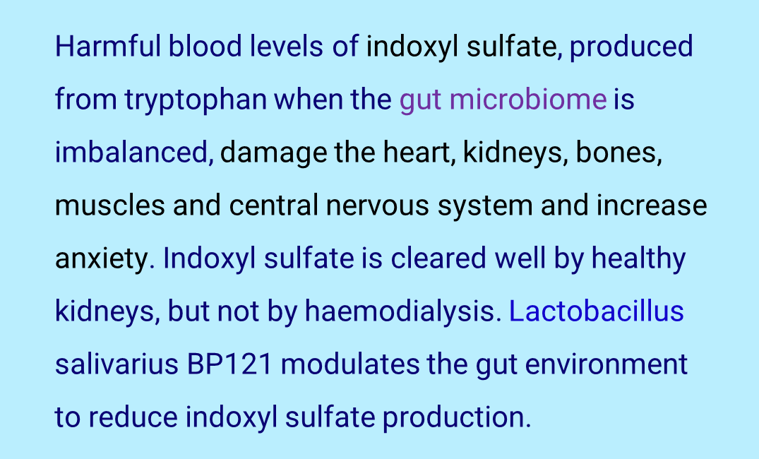 SilkeLeFay's tweet photo. #renal #nephrology #diabetes #anxiety #insula #neuroscience #microbiome #indoxyl #sulfate #CVD #sarcopenia #agedcare #dialysis #kidneydisease #heartdisease #Indigenous #FirstNations #mentalhealth #lactobacillus #probiotics #rural #generalpractice #primaryhealthcare #epidemiology https://t.co/4KLdamB7cB