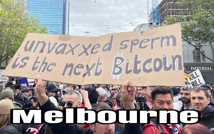 Veritas Vox tweet media