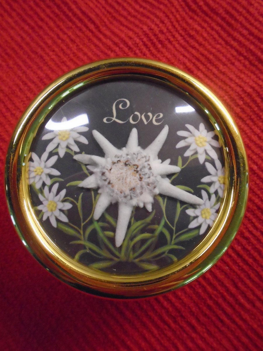 Edelweiss Dried Flower Gift MAPSA Vintage Pressed Real Edelweiss Alps Flower Music Box Sound of Music GIFT Father's Day