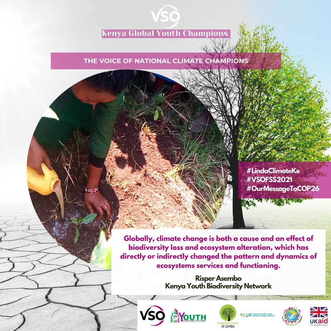 VSOKenya's tweet image. Global Youth Biodiversity Network Network speaks
@VSO_Intl @GYBN_Kenya @CYCNOfficial @KYouthAssembly @m_m_almas @fridah_okomo @Felixangaira @Ysd_kilifi @ysdmakueni @ysdtaitataveta @nairobi_ysd @kilifi_youth 
#LindaClimateKe
#VSOFSS2021
#OurMessageToCOP26