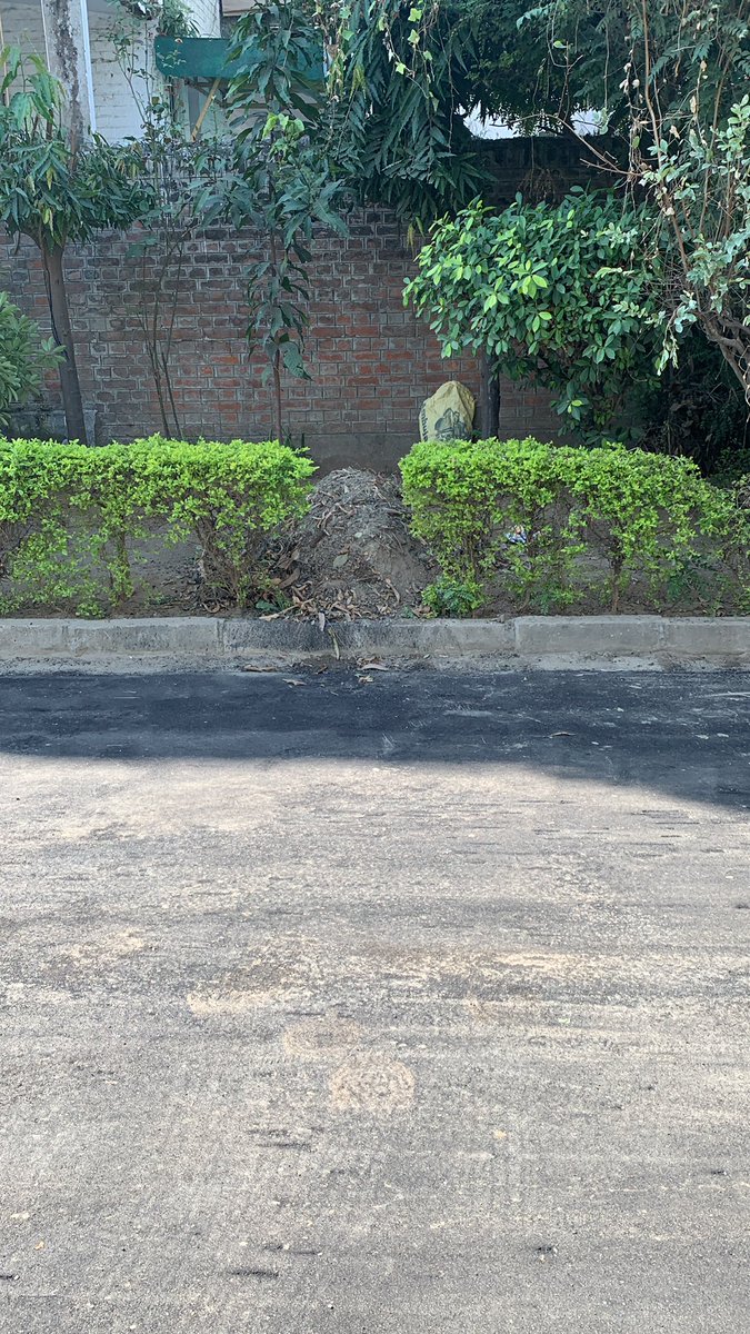 behal_kunj's tweet photo. @MCChandigarh Recarpeting done is a really good step. But the malwa heaps are left uncleaned after the recarpeting. @MCChandigarh could someone please help this cleared? https://t.co/o5UjCu08xv
