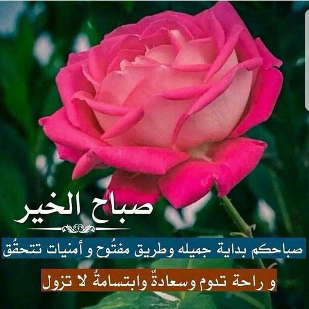 basrawi13129127's tweet photo. @LpmfAvwuOSAFxlU https://t.co/3uW6g73N2C