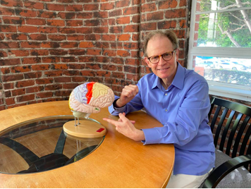 TISUK_'s tweet photo. How do we explain the complex structure of the brain? Dr Dan Siegel presents  the hand model of the brain in this short video... https://t.co/YTu0p9ucy6

#traumainformedpractice #traumainformedschools #TISUK #traumainformed https://t.co/UPnAPcPf0T