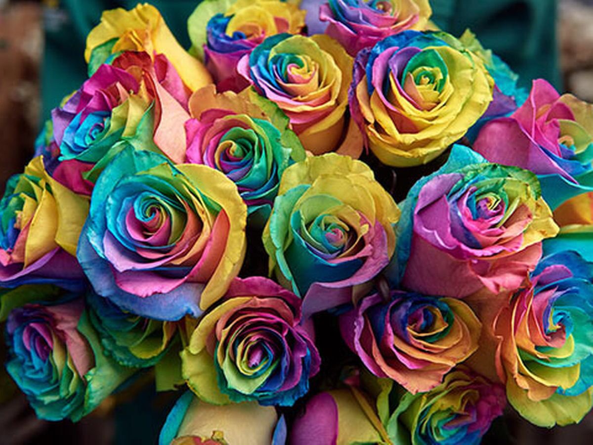 [Grumbling quietly as I make my way over to <a href="/EllysThatEpic/">Elly Alden</a>, holding out the bouquet in front of me. My gaze flickering from it to you before I clear my throat a couple times, standing up a bit more straight but confident as I spoke clearly to you.] Happy birthday, my precious.