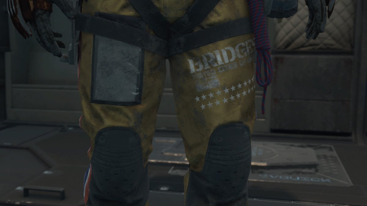 s0ffee's tweet photo. Aeeeeeeeee #DeathStranding #PS4share https://t.co/xP5GpD3oU2