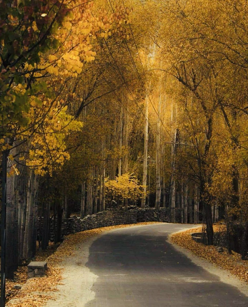 AhmedWaqas21's tweet photo. #photography #Hunza https://t.co/HVniJDdRpW