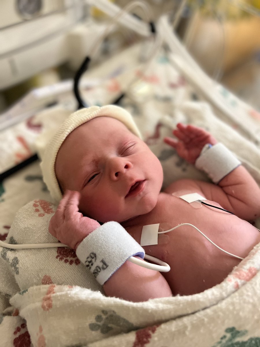 Courtney tweet media