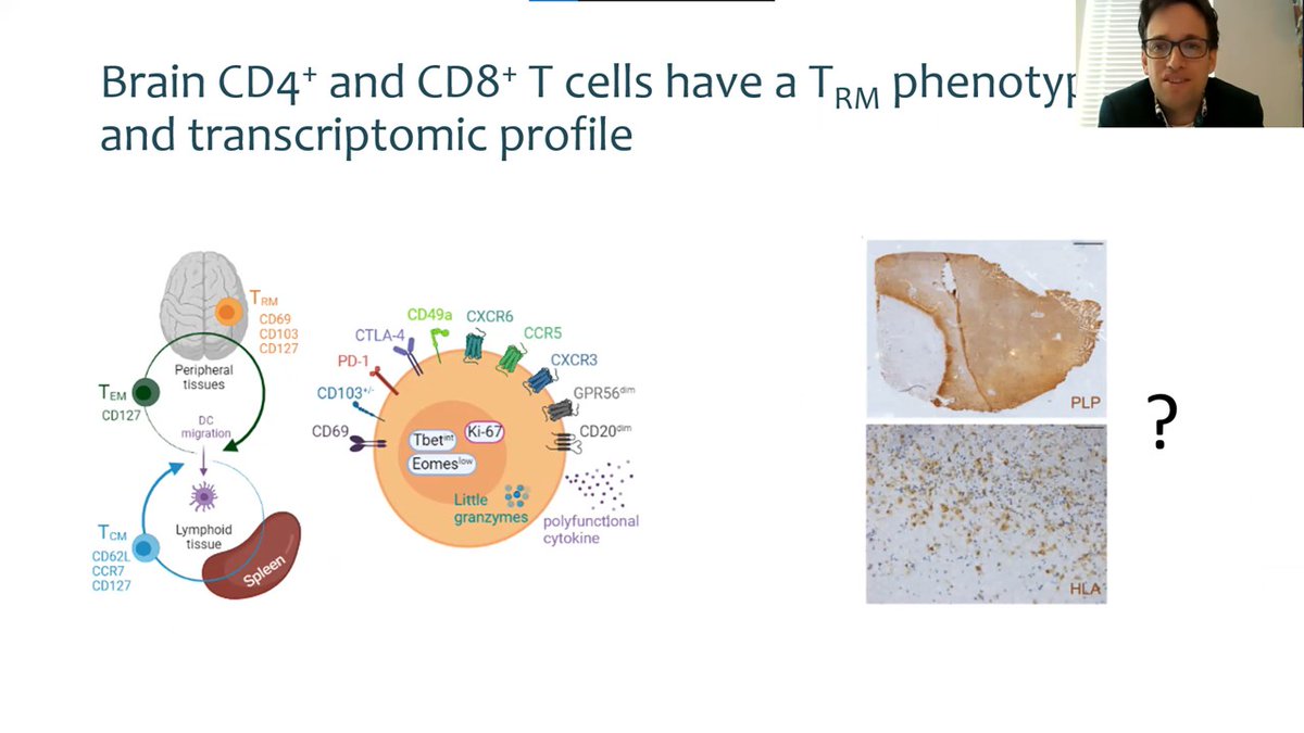 Team #ErasMS looks back to a great ISNI 2021 meeting! We contributed to the online program, and look forward to live scientific interaction with our collegues! #ISNI2021 #weareneuroimmunology #erasms erasms.nl