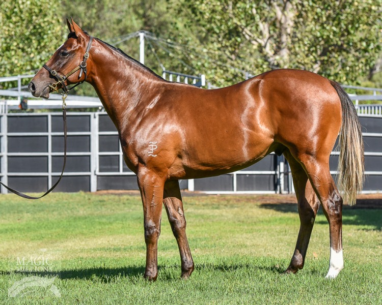 NewgateFarm's tweet photo. Win No  5⃣for  son Our Deep Agenda, proving too good for his rivals @SAJockeyClub 💪💪

Well done to the team @OConnorRacing1 &amp; @Jaseholder98 ‼️  

More wins in store for this @EmiratesPark bred son of Deep Field ☄️

Congratulations to all connections 👏👏
#TheFastestMeteor https://t.co/zmD3ROU6an