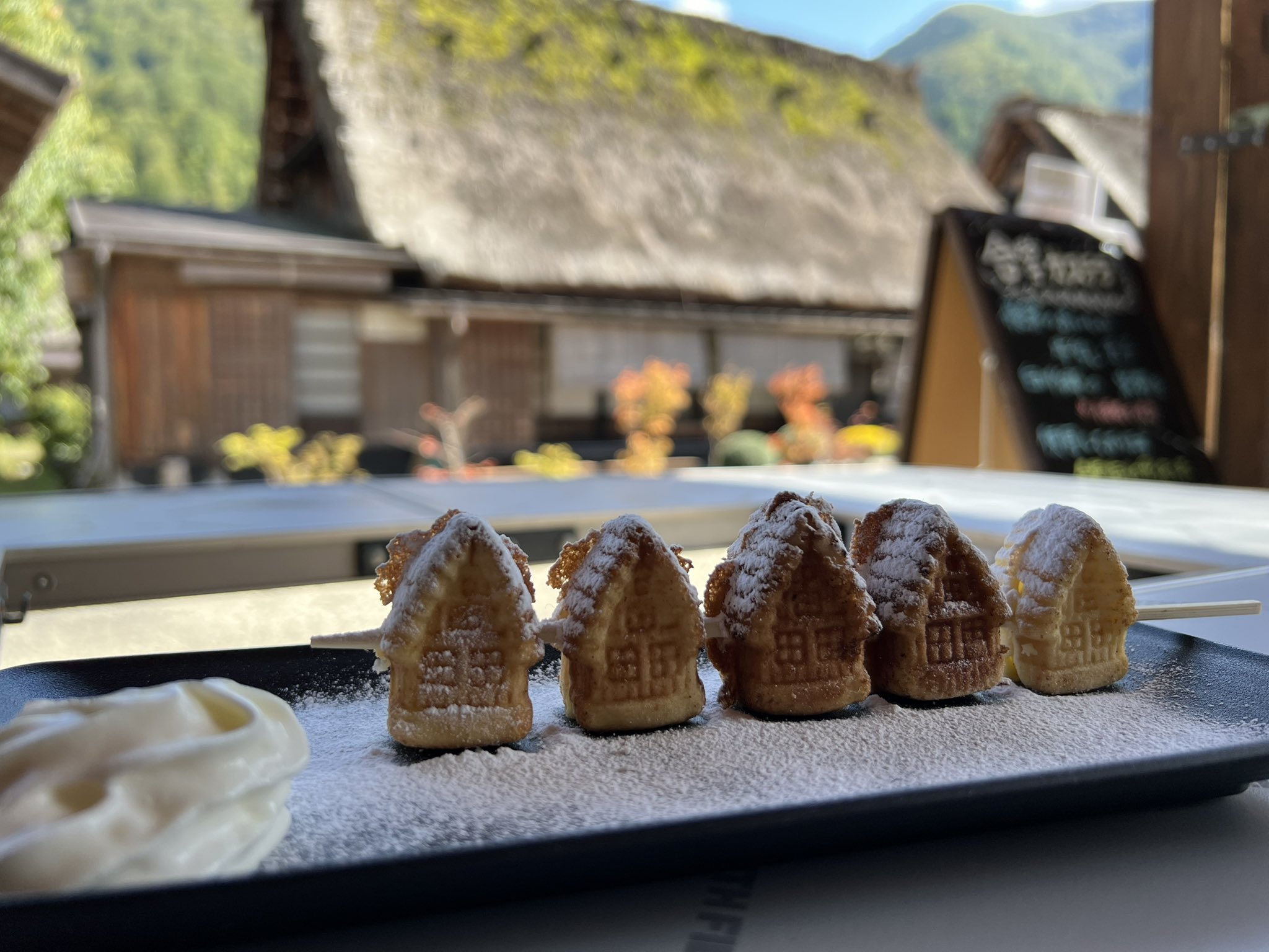 白川郷さん専用 ネーム9 メールオーダー式 創業100周年記念カラー 白川郷の灯