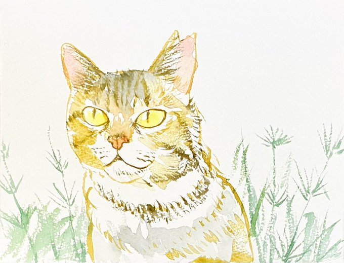 絵画 猫 日向ぼっこ イラスト 手書き Www Miroudlotululumbanyuwangi Sch Id