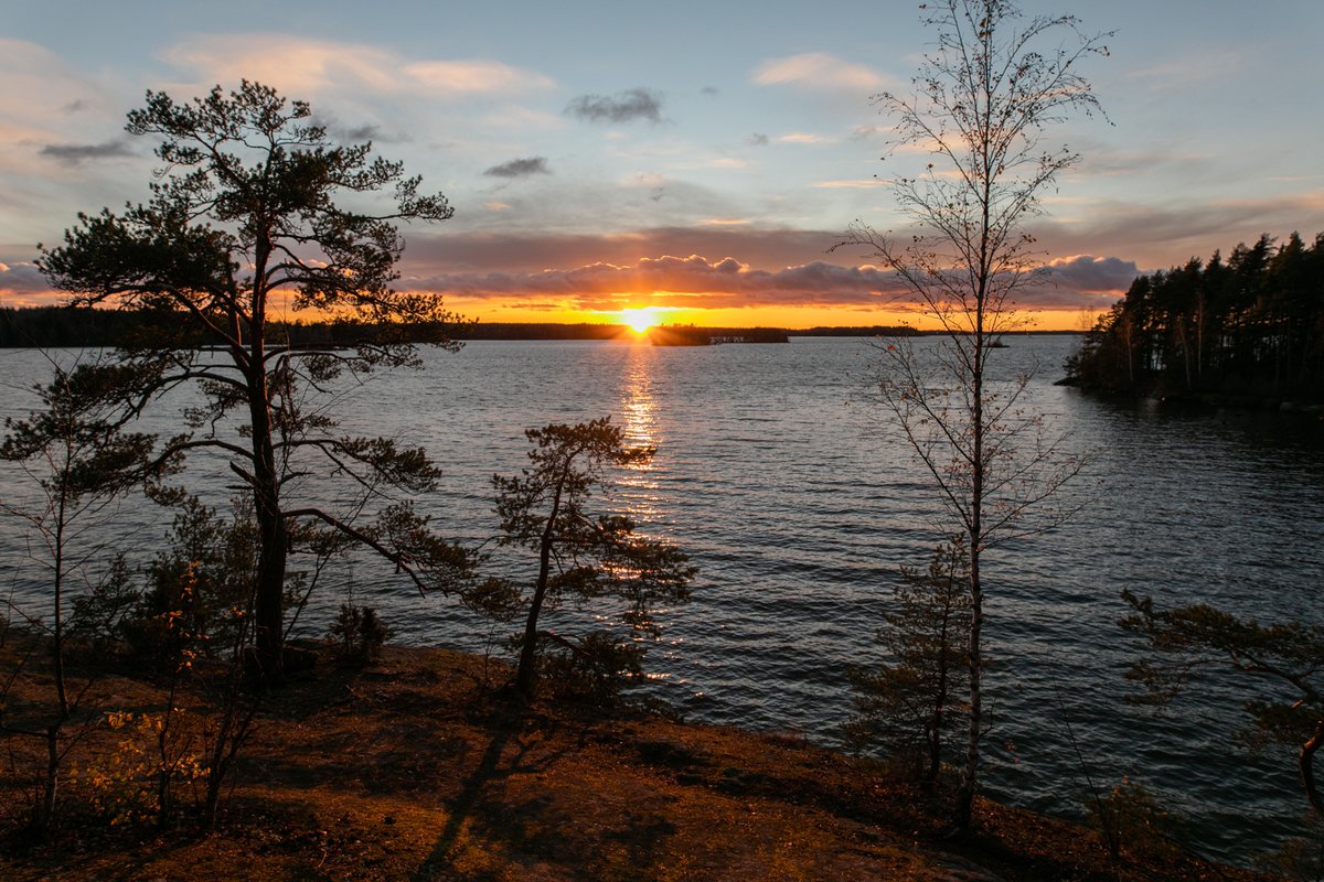 Immor07's tweet photo. Päivä lyhenee vielä 38 päivää, tuona aikana valon määrä vähenee 2 tuntia. 18 päivän päästä voimme sanoa, että tässä kuussa päivä alkaa jo pidentyä. Mukavaa viikonloppua!  #luonto #vuodenkierto https://t.co/oxhtXRiW45