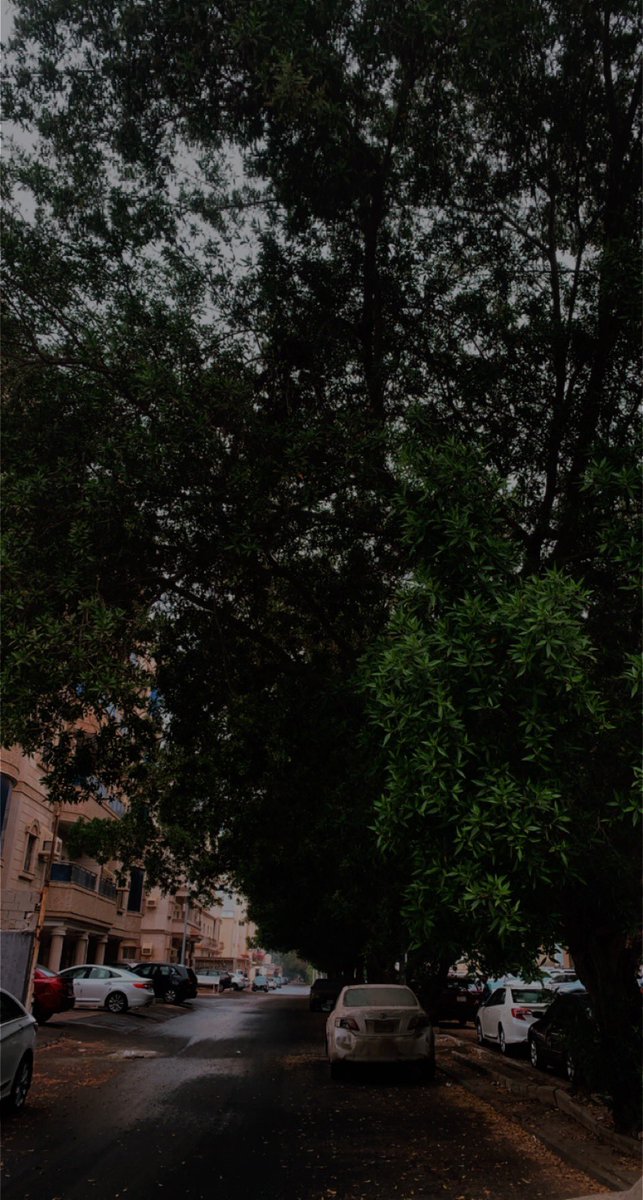 A250Rj's tweet photo. اللهم صيباً نافعاً 🌧🕊. #جدة_الأن https://t.co/GlFNbdqzUa