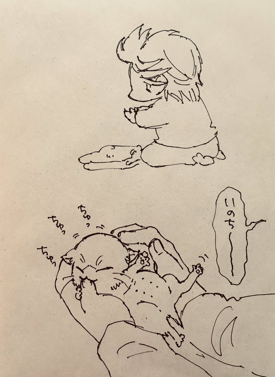 にゃこと 