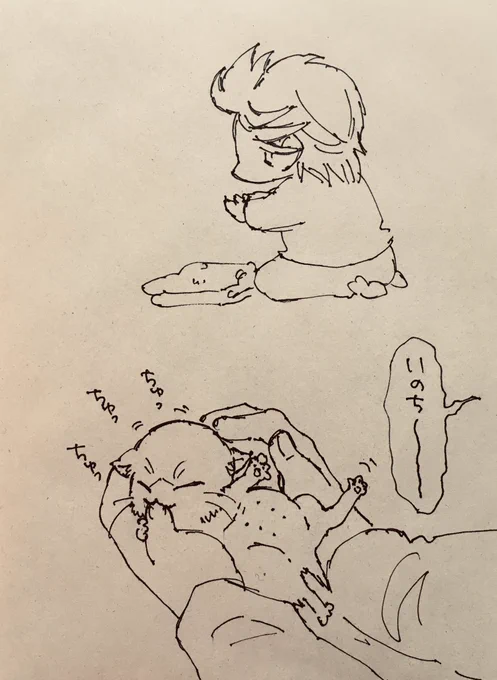にゃこと 