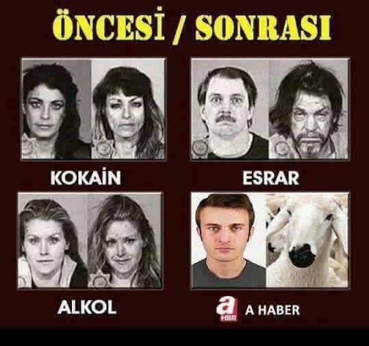 Bilim adamları buna #ahaber etkisi diyor.
#beratalbayrak BEN EKONOMİSTİM