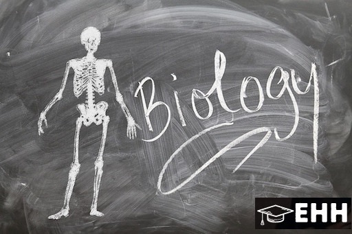 experthomeworks's tweet image. #Biology_Online_Exam_Help conducts one-to-one sessions to assess the aptitude of each student. This concept is a great idea to shape the overall personality of the students. Classes are flexible and one can record for further hearing👉experthomeworkhelper.com/biology-online…