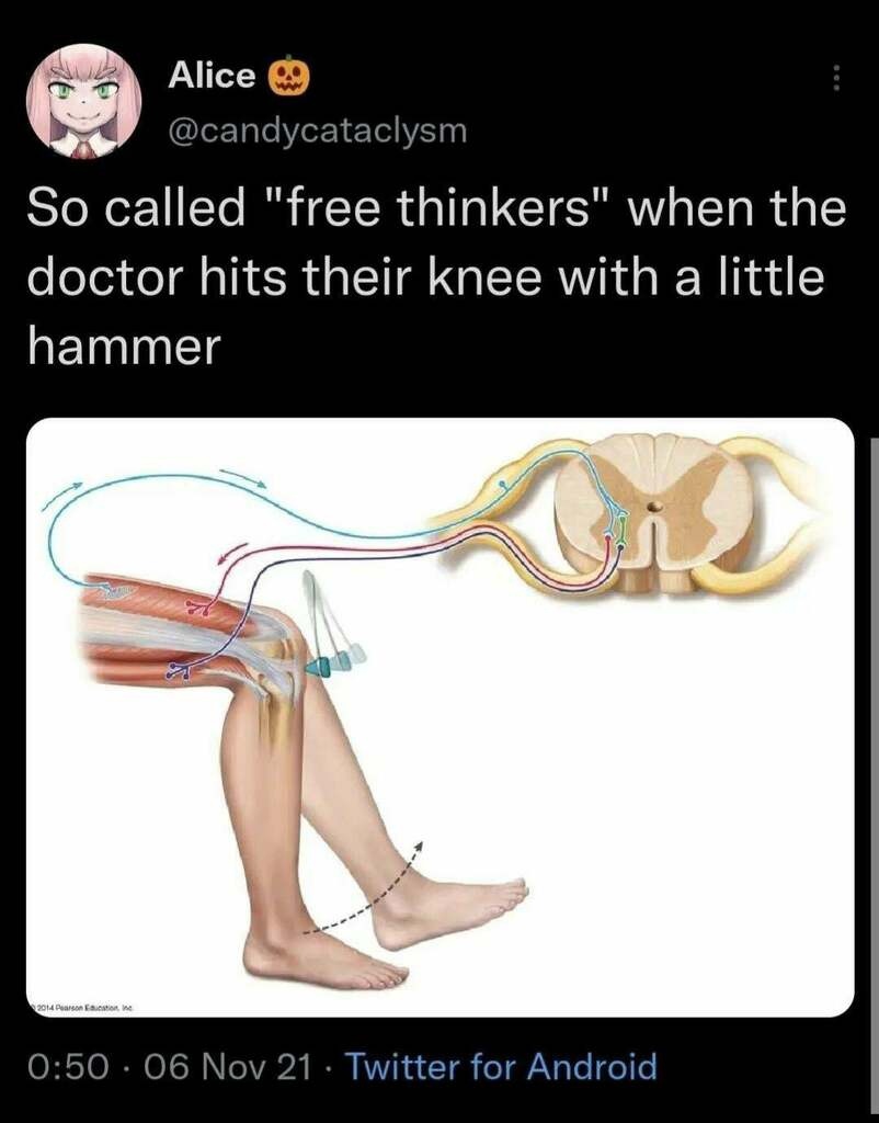 FEDsCMaXEAAyTb9?format=jpg&name=medium