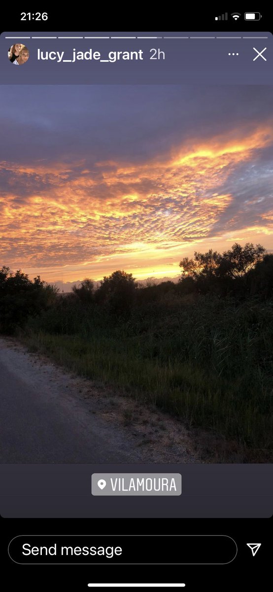 Sarah grant tweet media