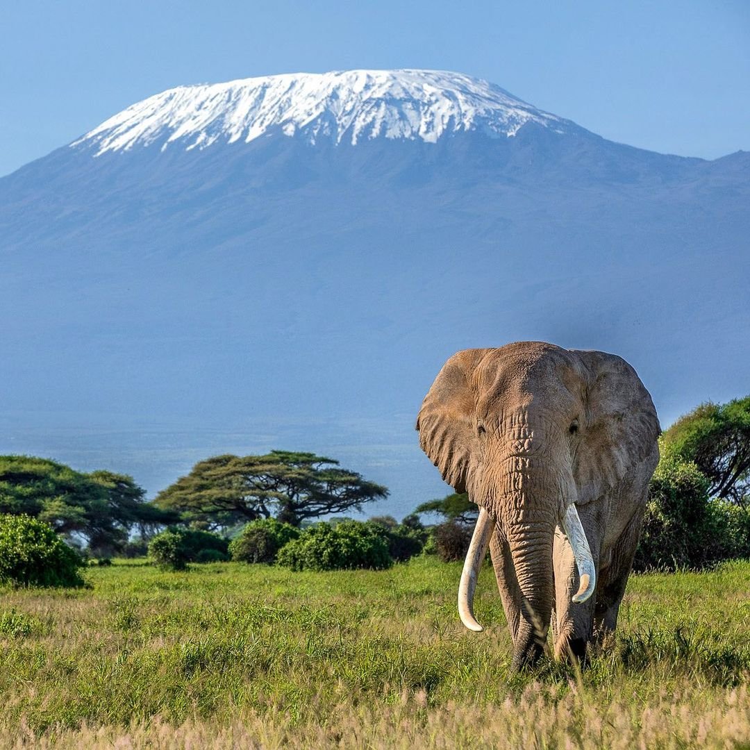 Kenya!
Beautiful.
Peaceful.
Green.
Full of life.

#VisitKenya
#Tourism
#TourAfrica.