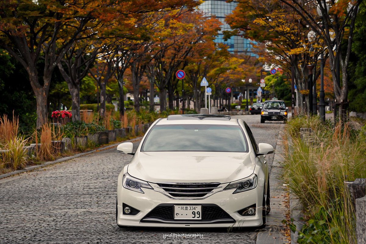 kingofright9's tweet photo. 秋ですね〜🍁 https://t.co/M8pV5S8sUT