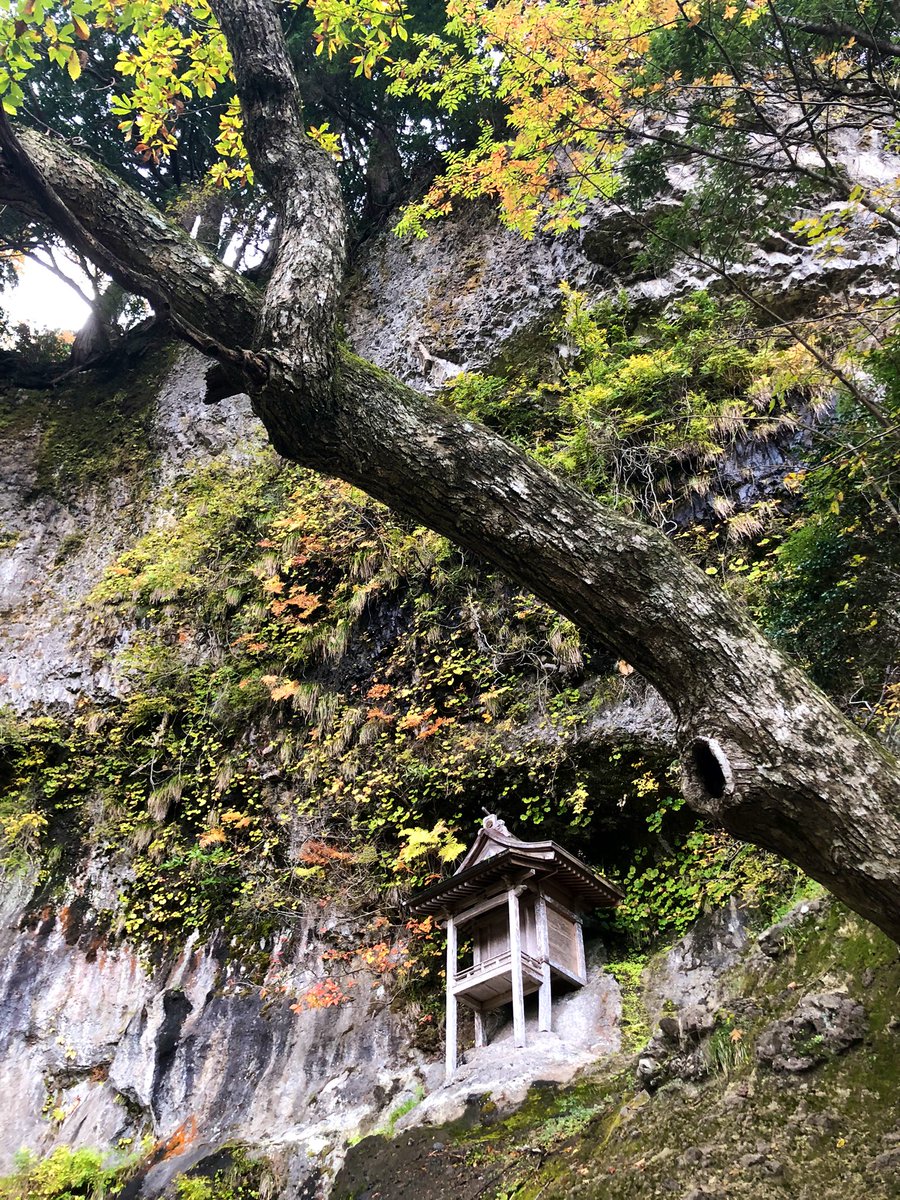ConsulKyoto's tweet photo. Un vrai plaisir que de découvrir les charmes de #Tottori! Ici le temple #Sanbutsuji sur le mont #Mitoku à #Misasa. Une merveille, même si arriver en haut demande un bel effort! https://t.co/WdLaDZZruE