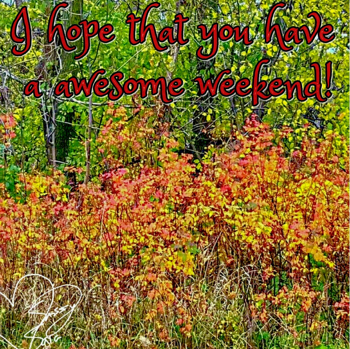 SassySarahere's tweet photo. I took this pic yesterday! I โค the fall colors!๐๐๐#weekend #weekendvibe #friday #fridays #FridayFun #FridayFeeling #FridayVibes #fall #fallcolors #FallInLove #loveyourself #youmatter #umatter #youmattermovement #nature #naturelover #naturephotography #mothernature #seasons https://t.co/vLo38oFzXP