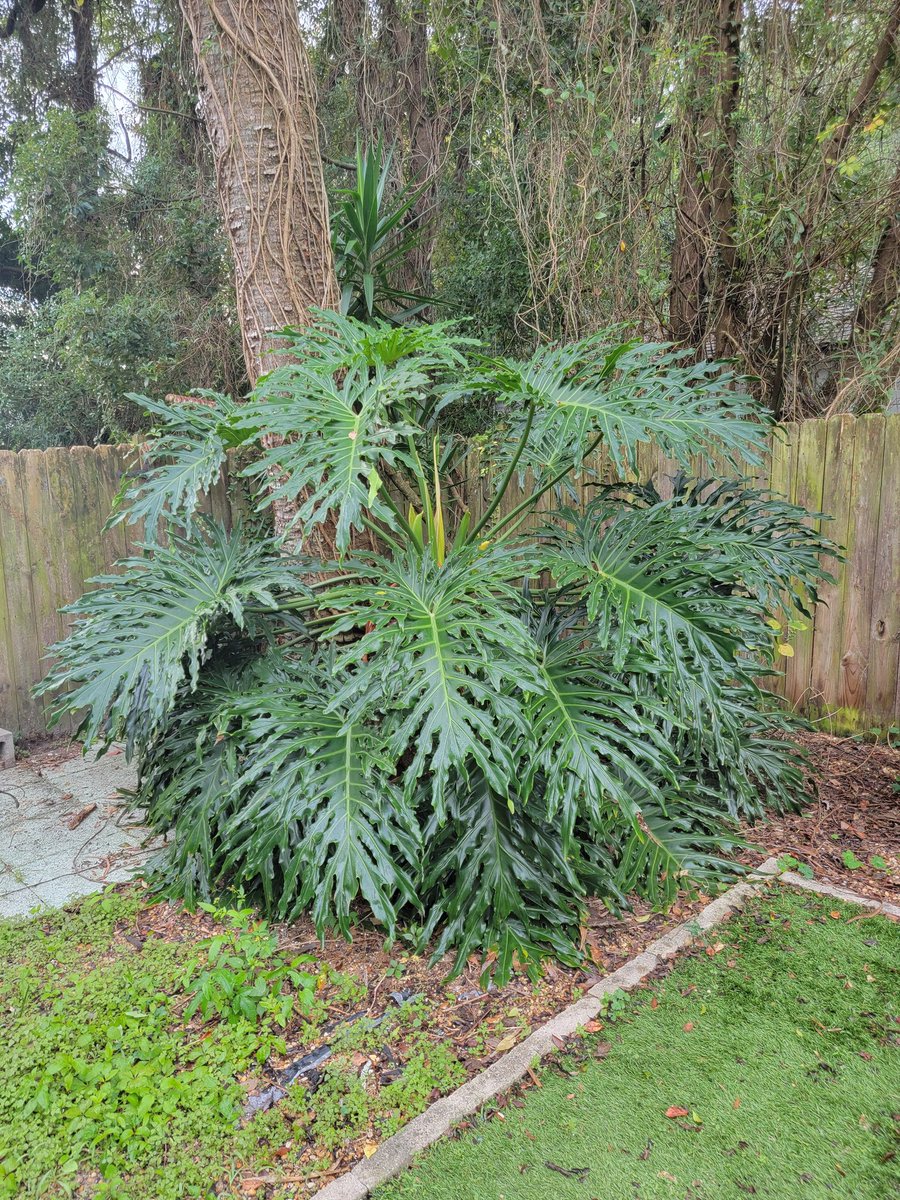 SlaughterFly's tweet image. Easily one of my favorite things about the new house