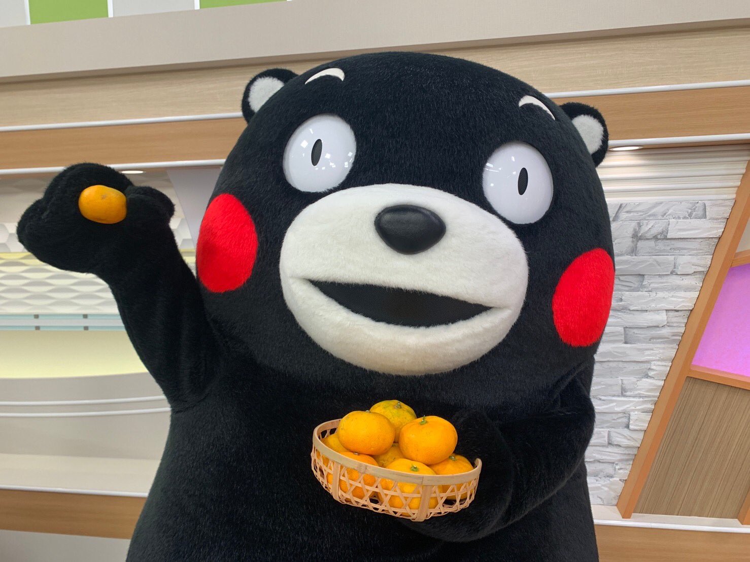 くまモン【公式】 on X: 