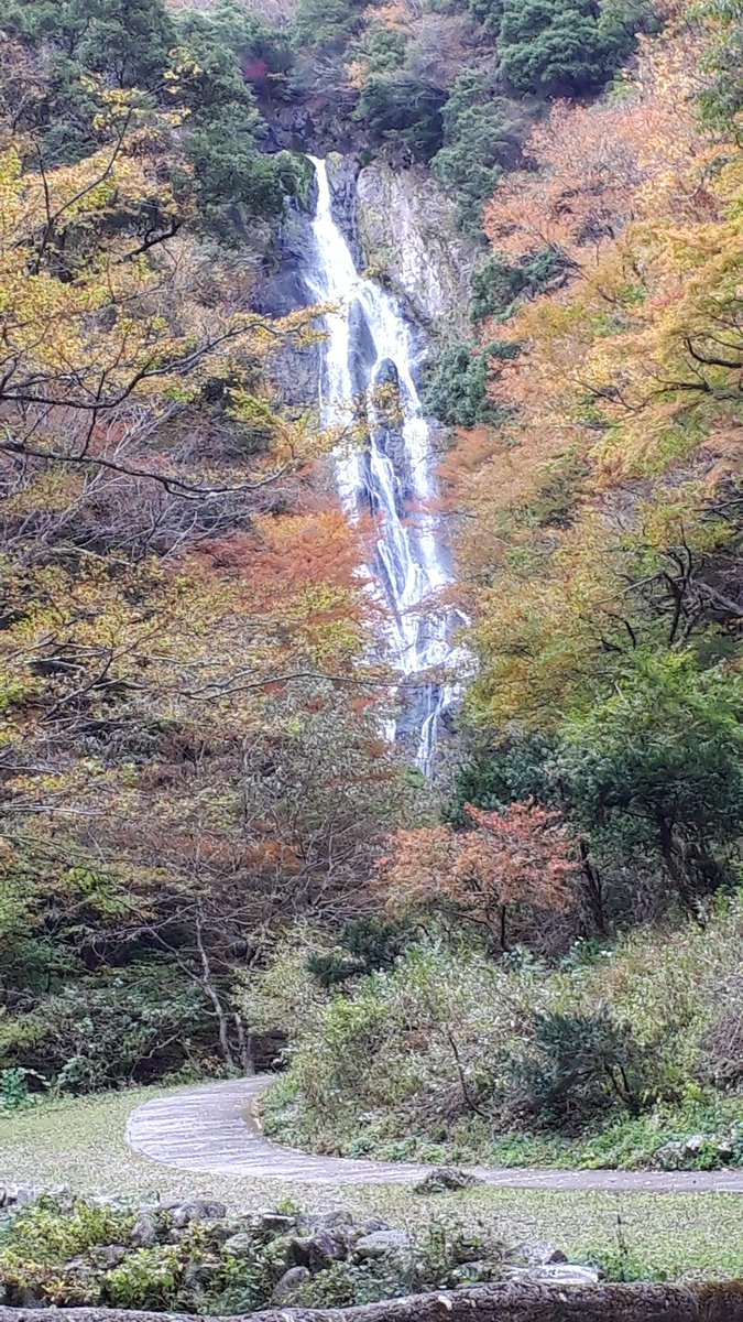 ariki104dan's tweet photo. 紅葉に見に行きました！ https://t.co/SoKvhwhSIZ