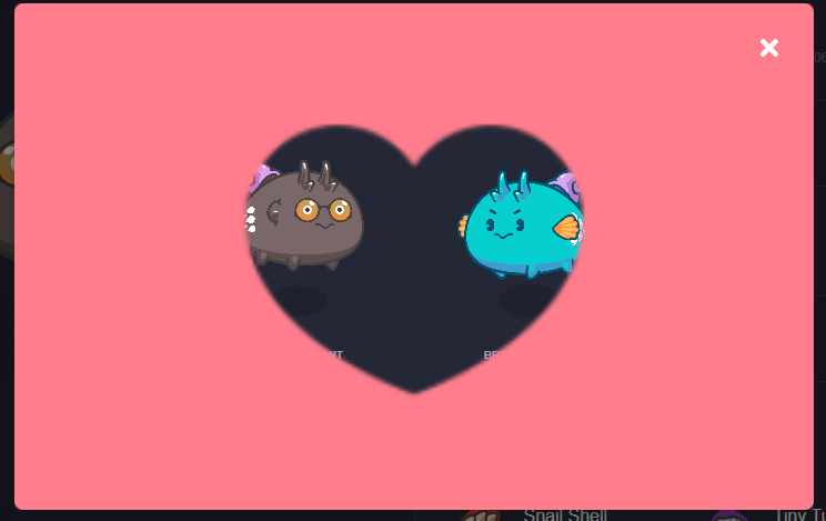 The Angel Axie tweet media
